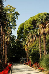 Крым, Никитский ботанический сад